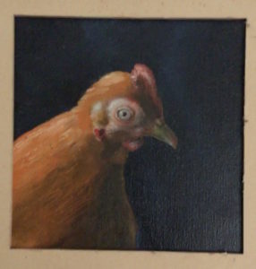 portrait de poule